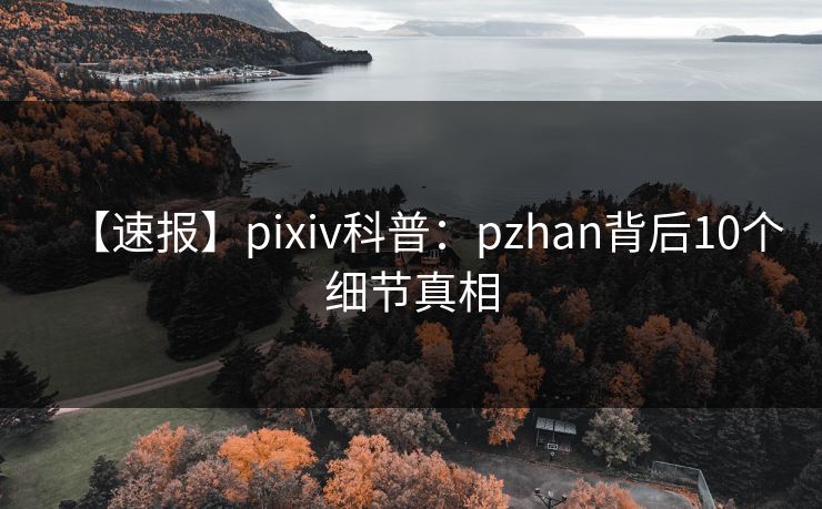 【速报】pixiv科普：pzhan背后10个细节真相