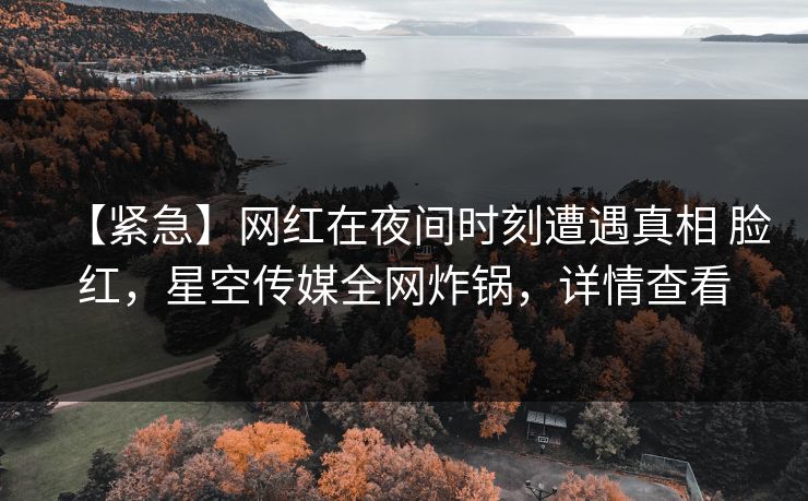 【紧急】网红在夜间时刻遭遇真相 脸红,星空传媒全网炸锅,详情查看 【紧急】网红在夜间时刻遭遇真相 脸红,星空传媒全网炸锅,详情查看