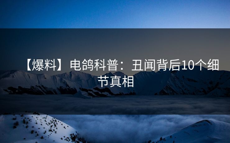 【爆料】电鸽科普:丑闻背后10个细节真相 【爆料】电鸽科普:丑闻背后10个细节真相